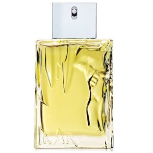 Sisley Paris - Eau d'ikar eau de toilette man 100ml